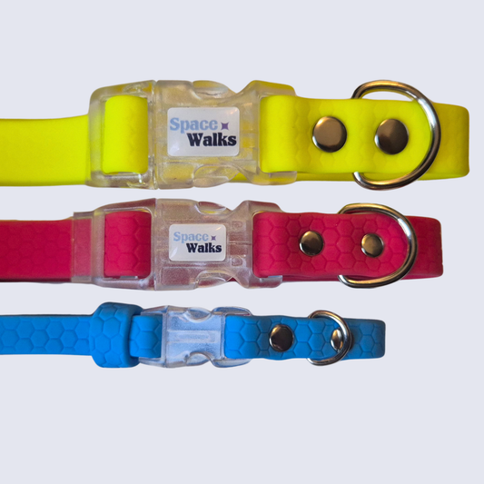 Collar Órbita