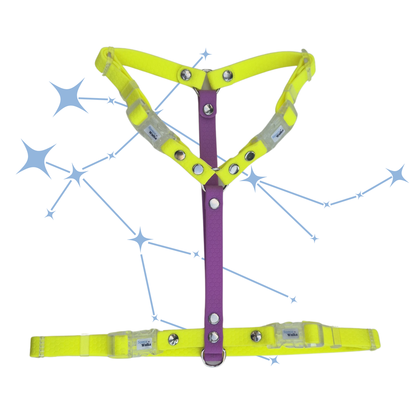 Arnés Astro