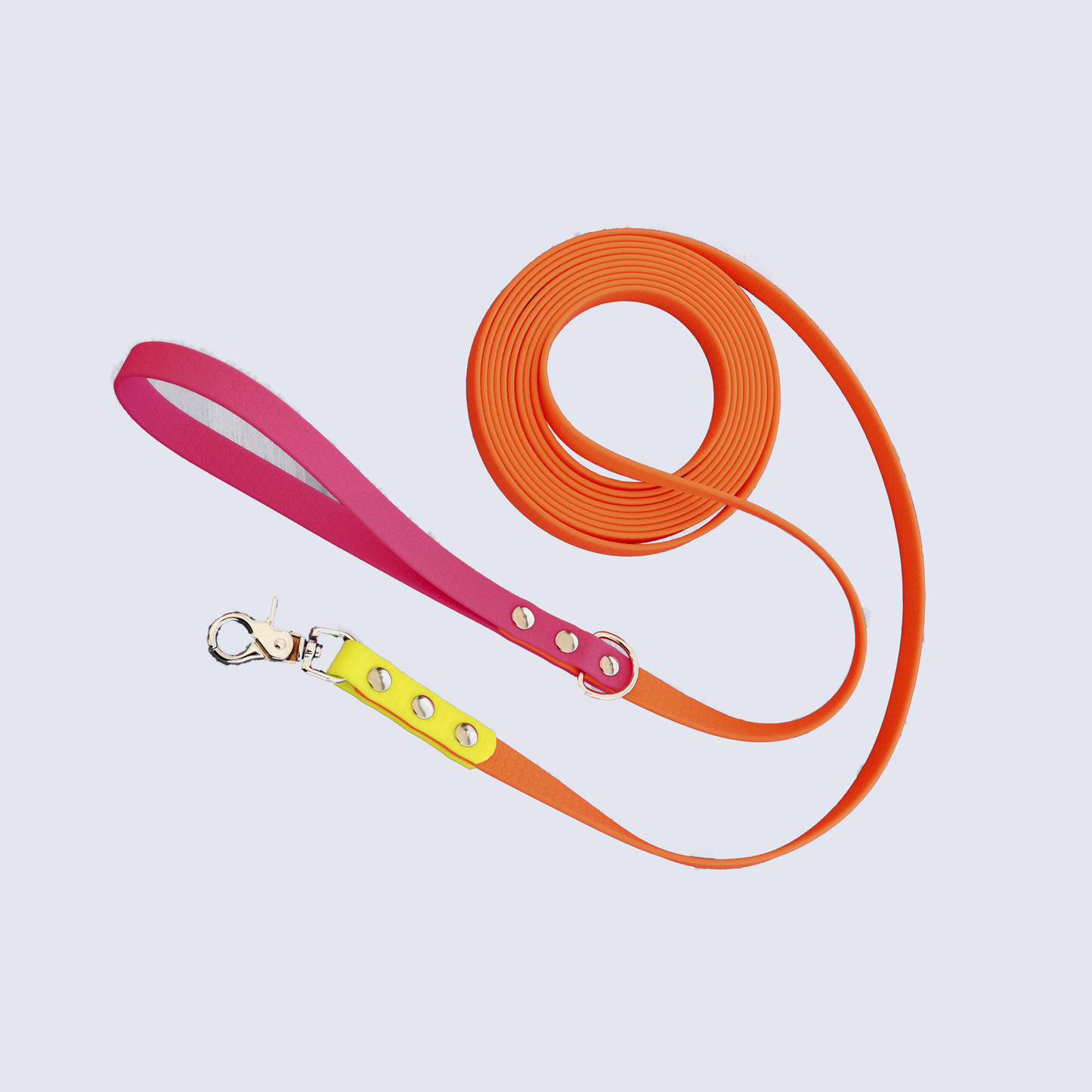 Correa Órbita Orión