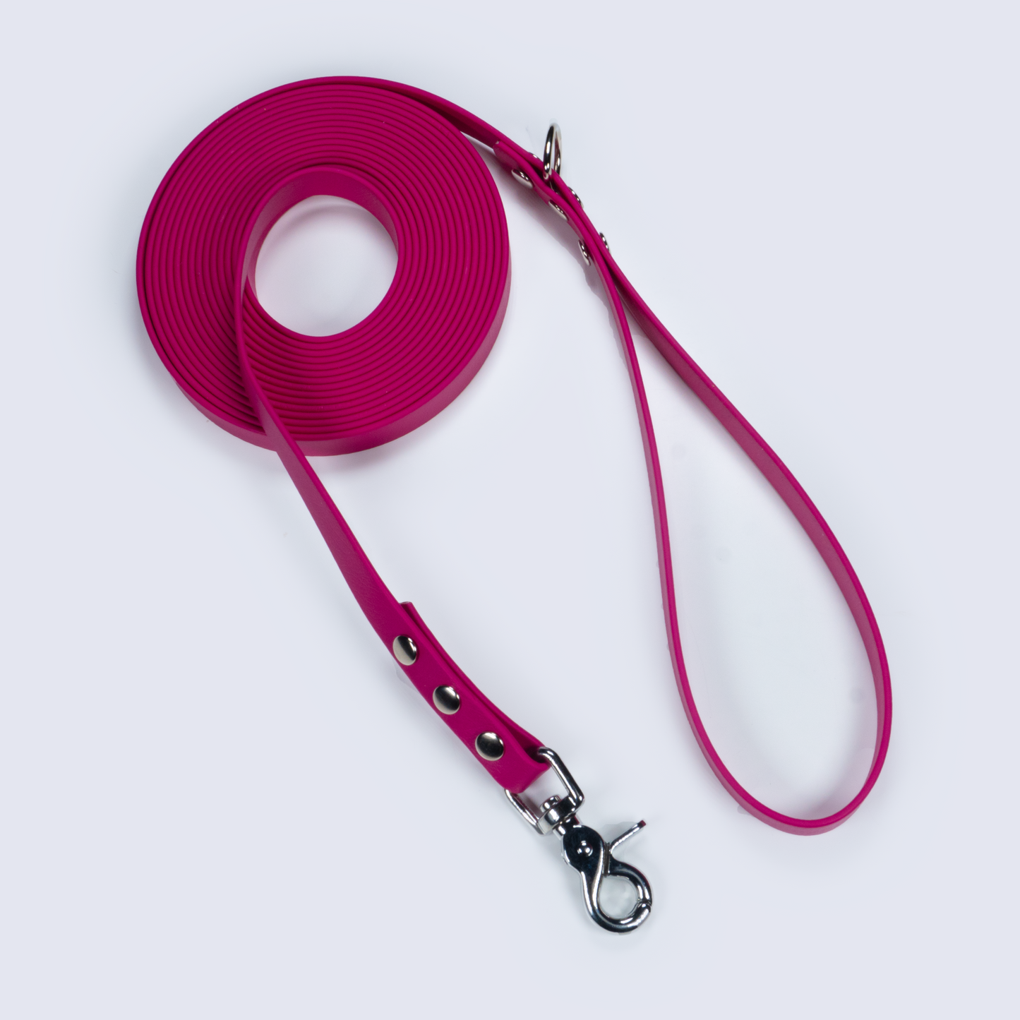 Correa Estelar Orión