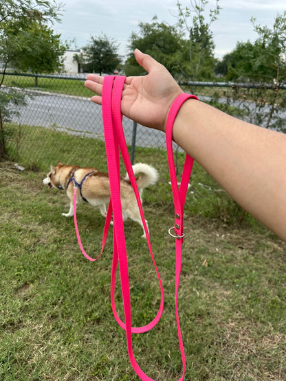 Correa Órbita Orión