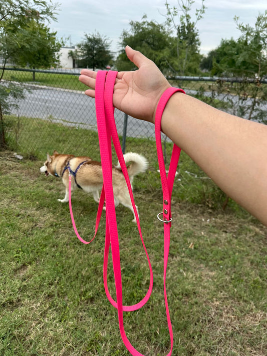 Correa Órbita Orión